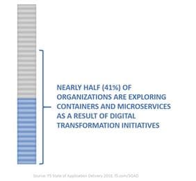 HALF-exploring-containers-soad18