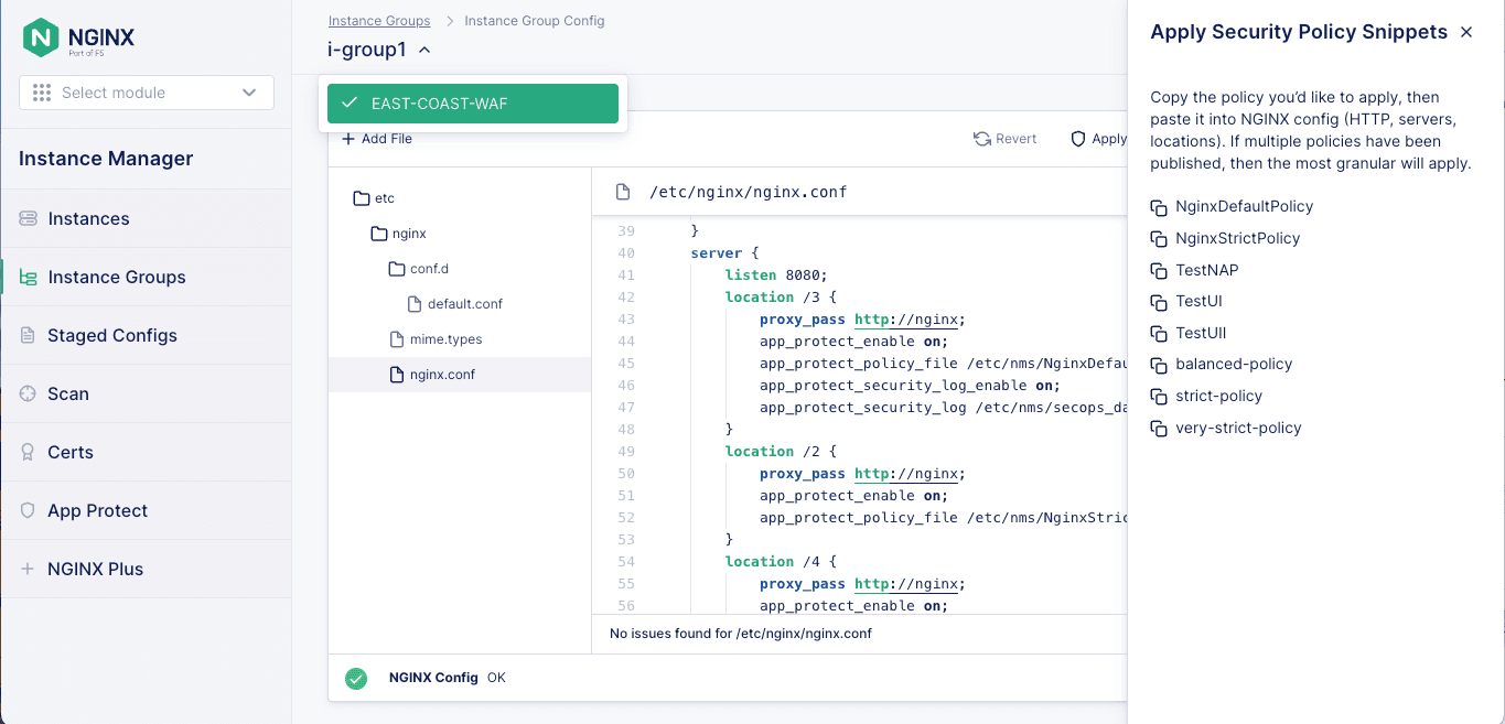 NMS Instance Manager showing policies selection for a publication to a WAF instance group.