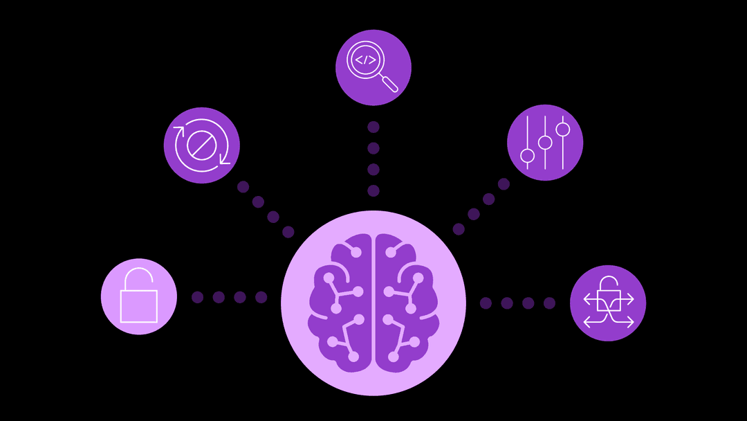 AI ADC01: Weak DNS practices
