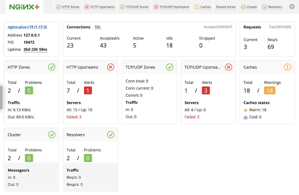 NGINX Plus Live Activity Monitoring Dashboard Screenshot