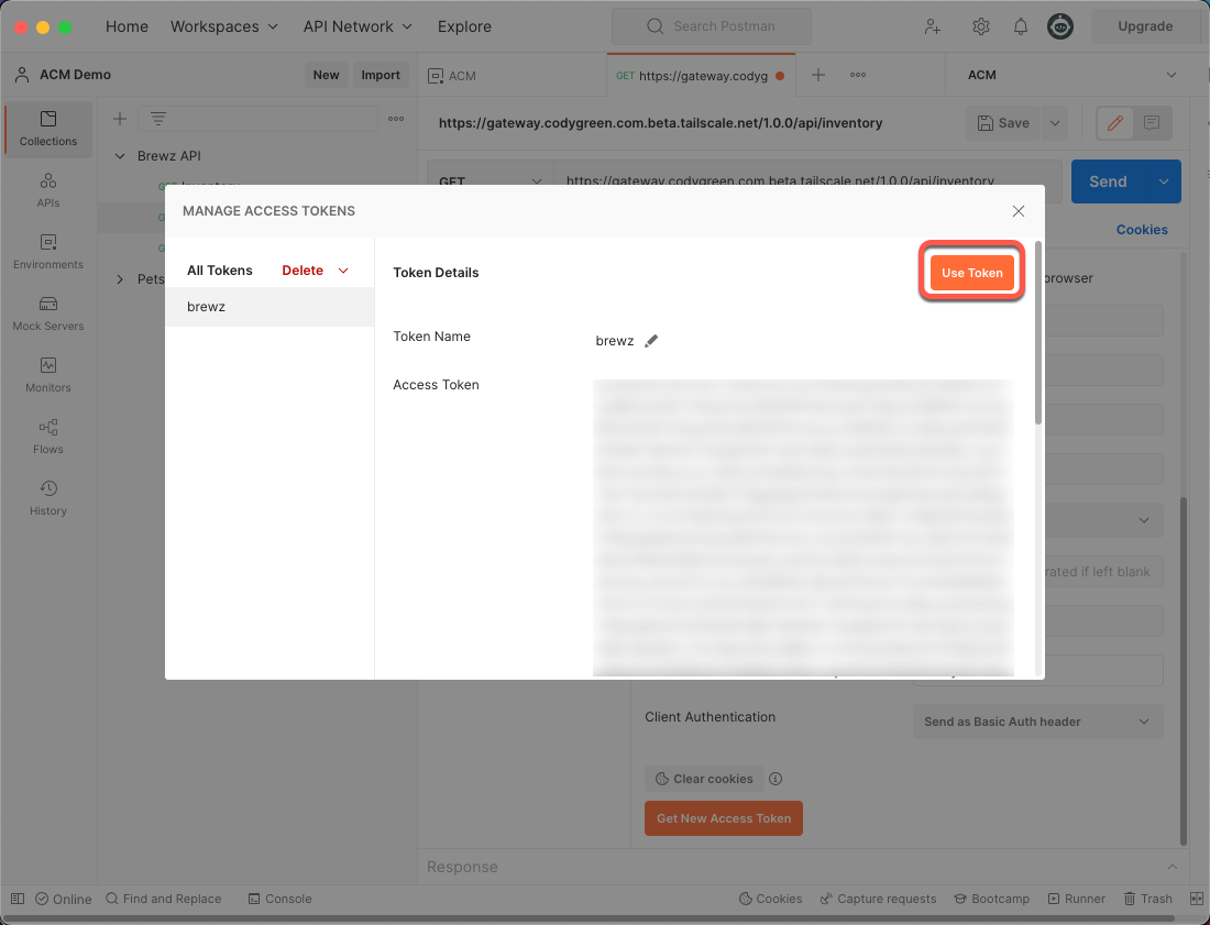 Postman Use Token