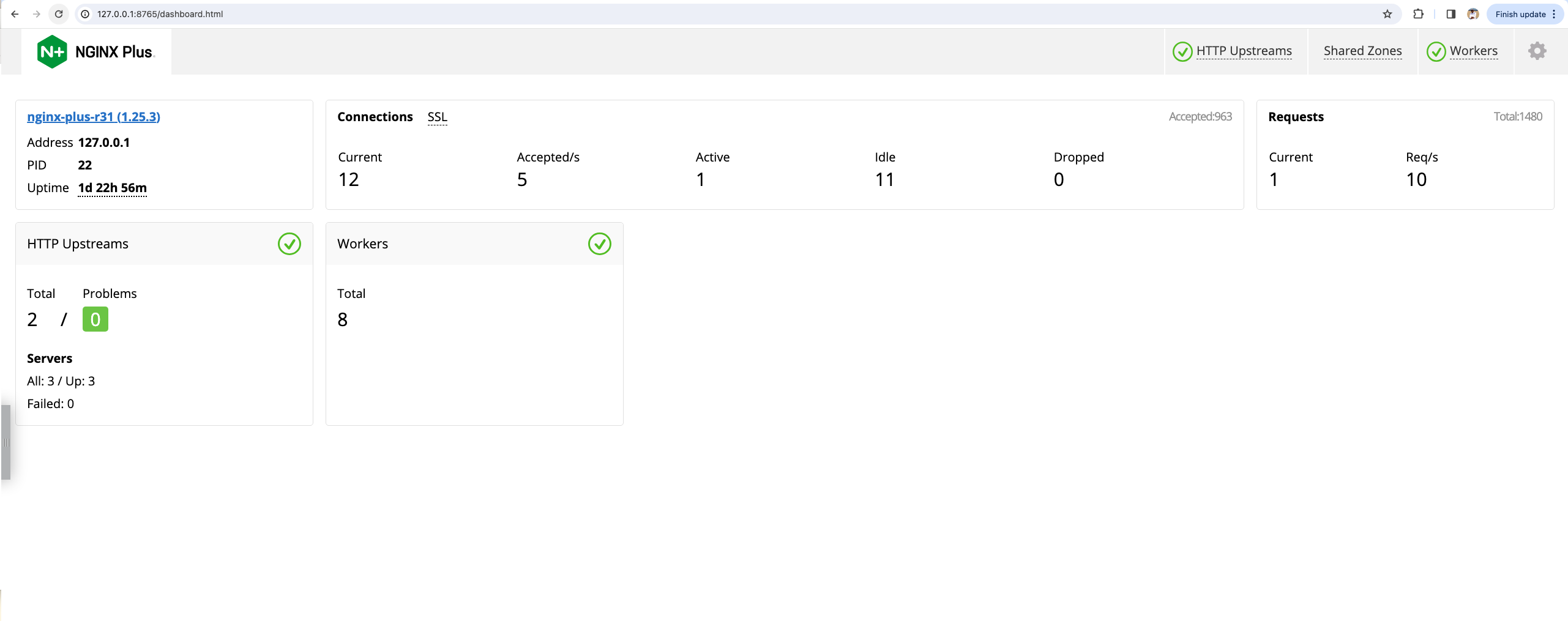Painel NGINX Plus