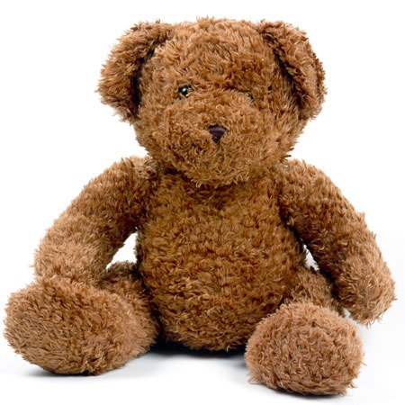 teddybear_241113