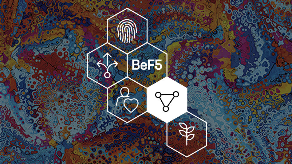 BeF5 多様性と包摂